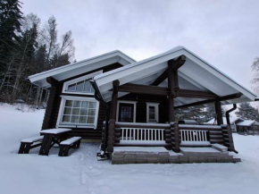 Smaller Äijänhonka Cottage Jämsä